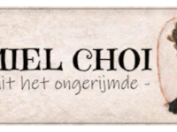 Kamiel Choi